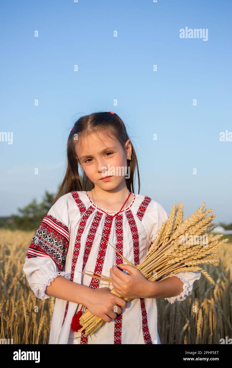 jeune fille de 7 ans dans un chemisier national brodé avec un bouquet d'épillets de blé contre le ciel. Je suis fier d'être ukrainien, identité nationale. Banque D'Images