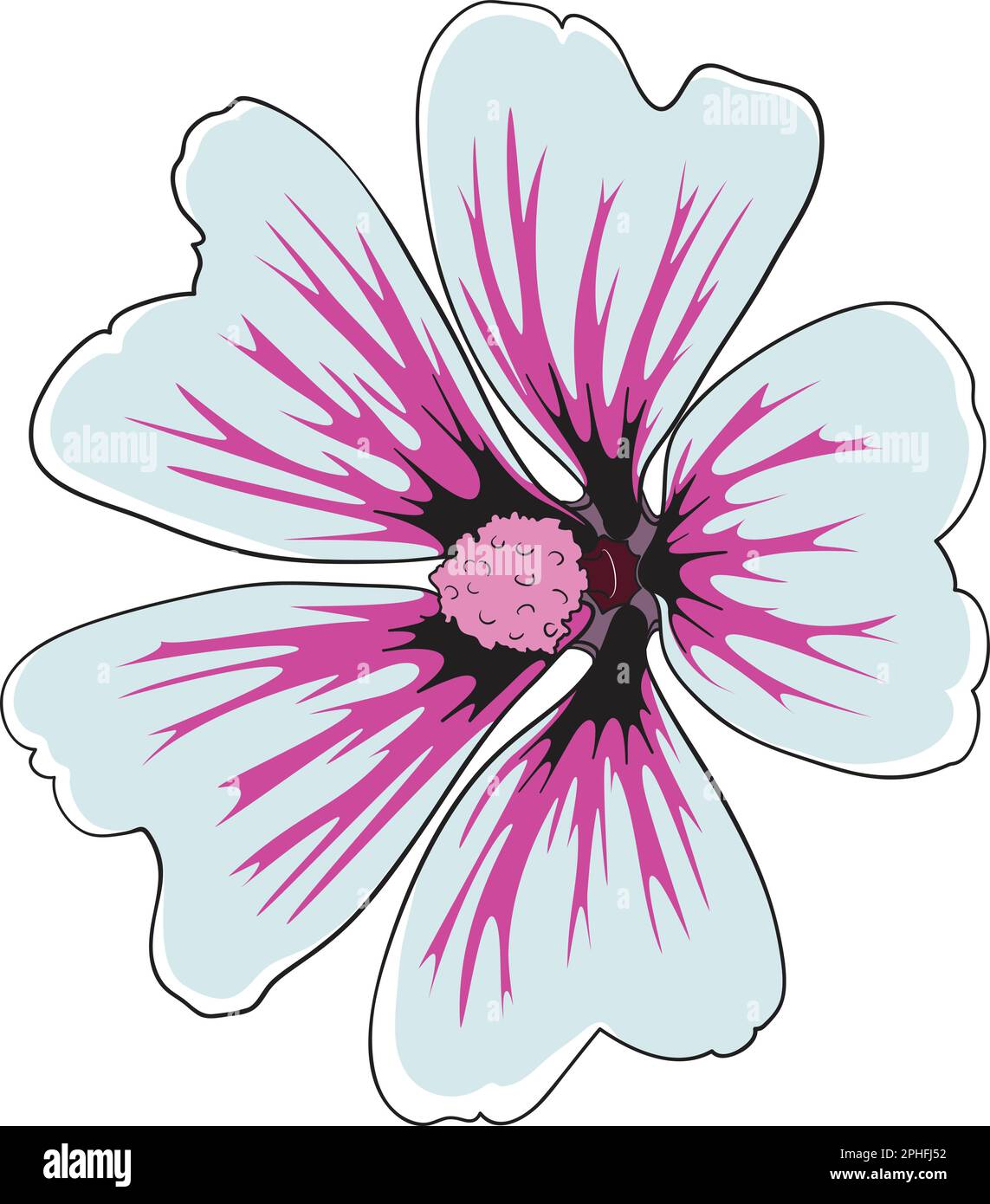 Illustration élégante du vecteur de fleurs Hibiscus. Illustration de Vecteur