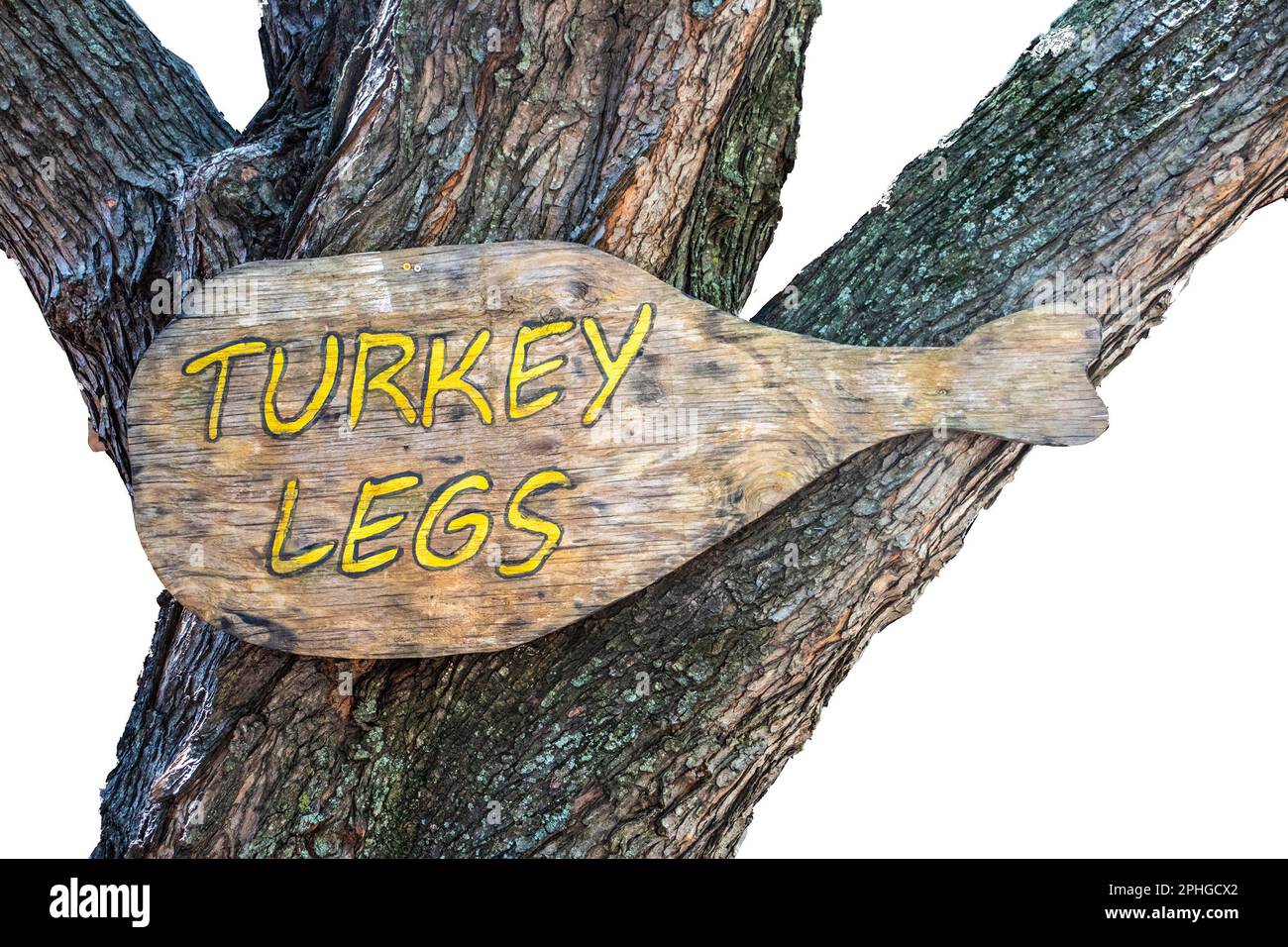 Rustiques grungy turquie jambe en forme de panneau en bois attaché à l'arbre tronc lecture dinde jambes - isolé sur blanc Banque D'Images