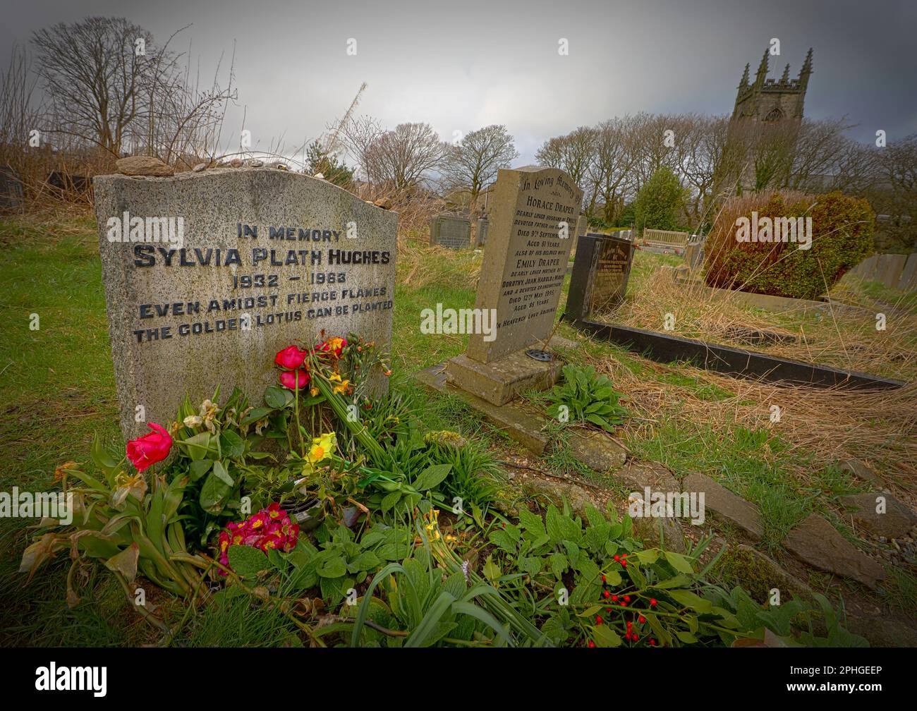 Sylvia Plath Hughes grave, 1932-1963, pierre tombale en mémoire poète américain, même au milieu des flammes féroces, le lotus doré peut être planté Banque D'Images