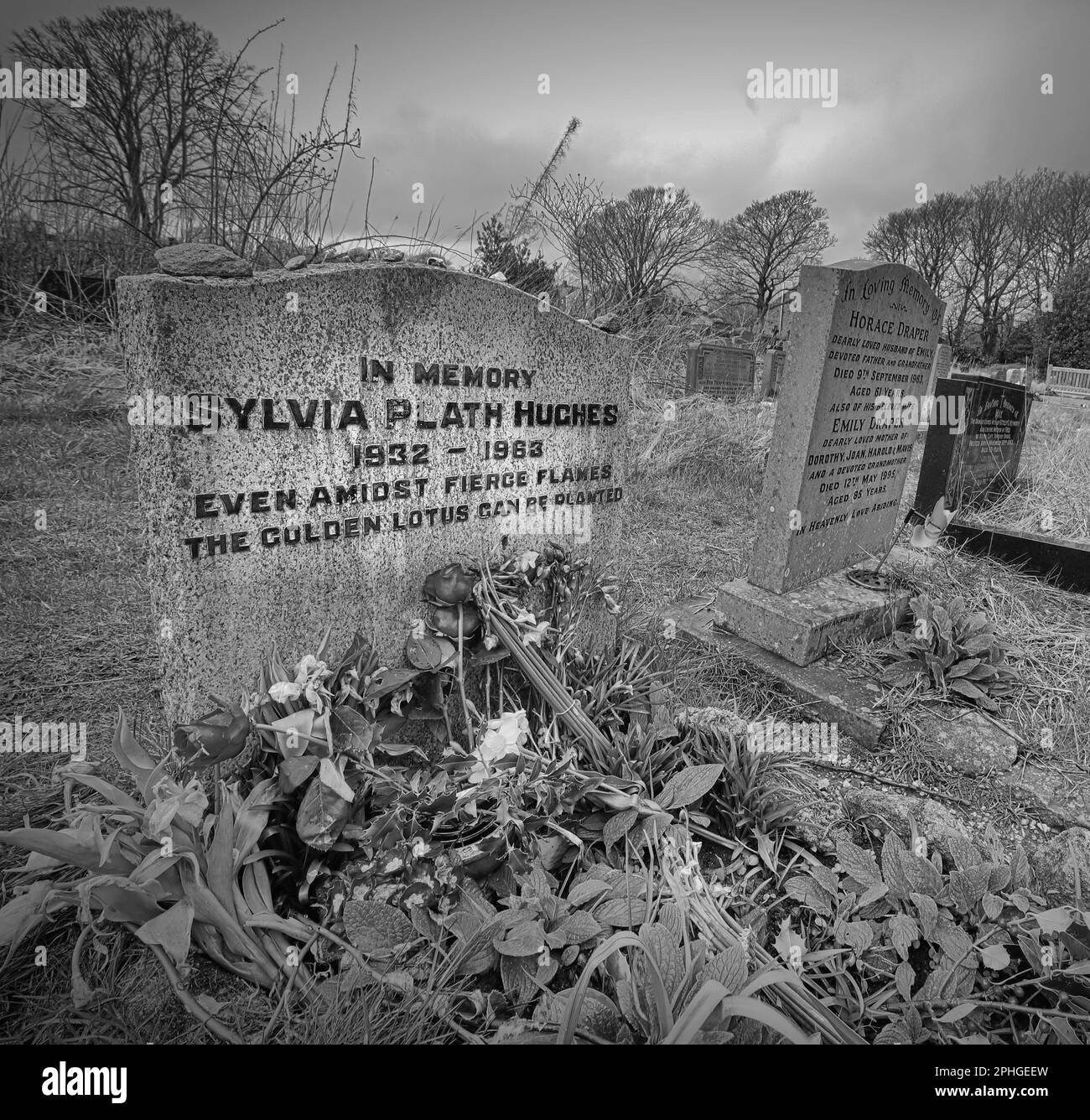 Pierre tombale de Sylvia Plath Hughes, 1932-1963, pierre tombale en mémoire poète américain, même au milieu des flammes féroces, le lotus doré peut être planté Banque D'Images