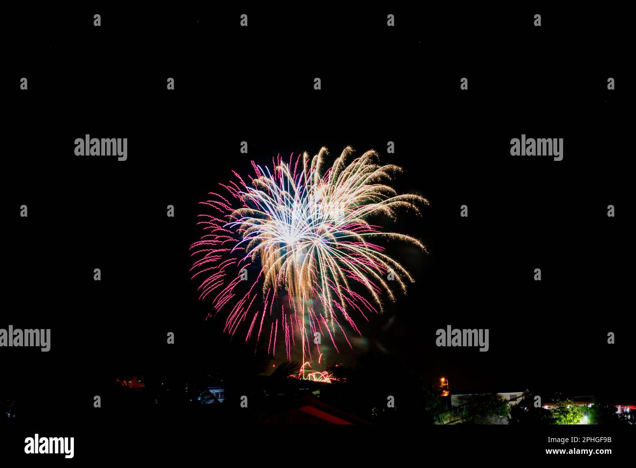 Un feu d'artifice éclatant illuminant le ciel nocturne Banque D'Images