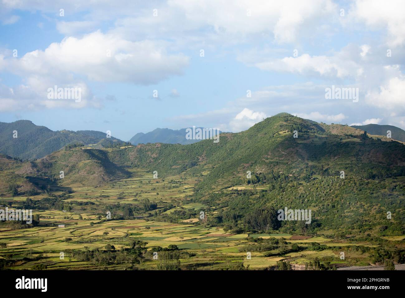 Fermes mitoyennes dans les montagnes de l'Ethiopie entre Dessie et Kombolcha. Banque D'Images