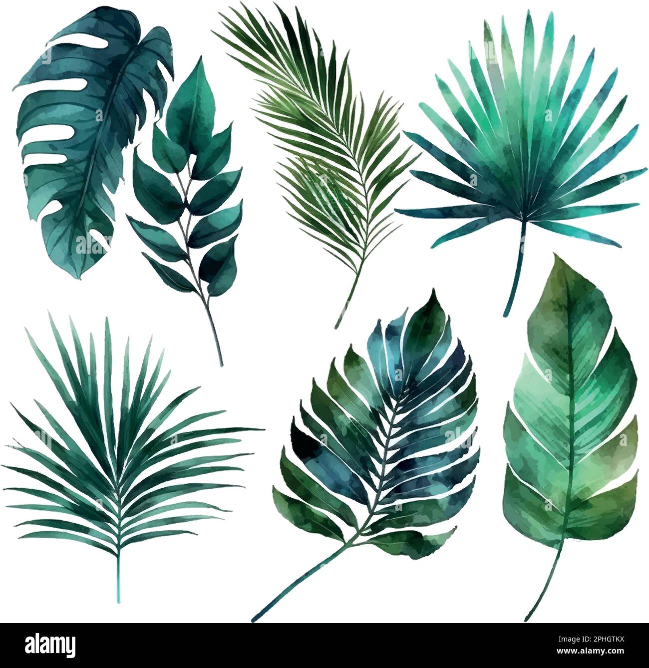 Feuilles tropicales exotiques. Illustration de feuilles dessinées à la main en aquarelle. Illustration de Vecteur