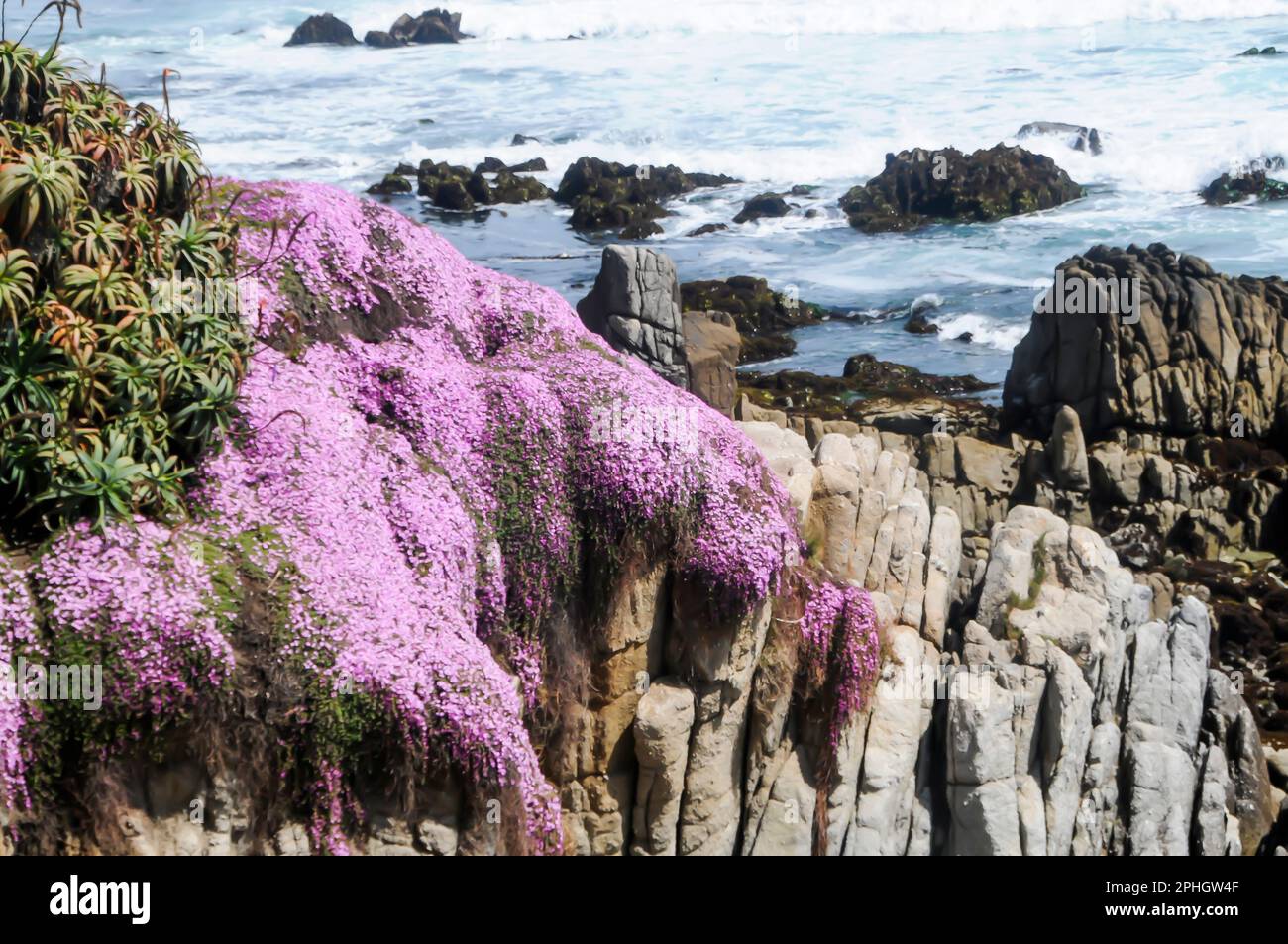 Péninsule de Monterey, Californie Côte Banque D'Images