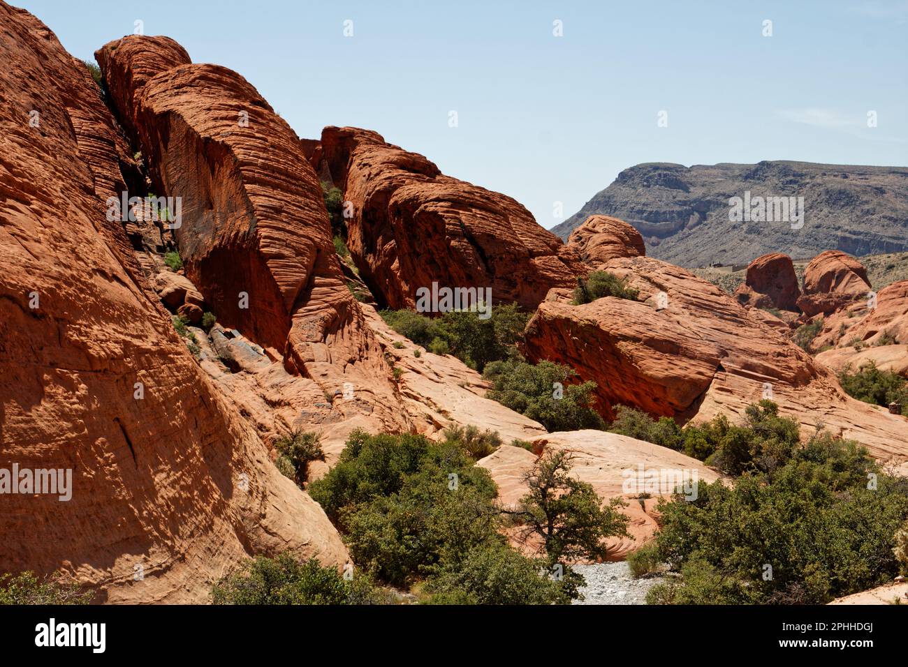 Paysage de Red Rock Canyon, Nevada, États-Unis Banque D'Images