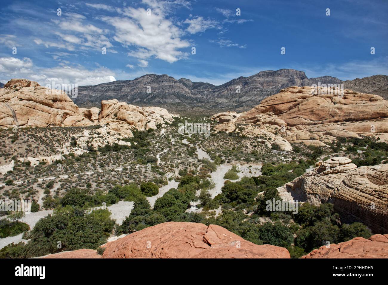 Paysage de Red Rock Canyon, Nevada, États-Unis Banque D'Images