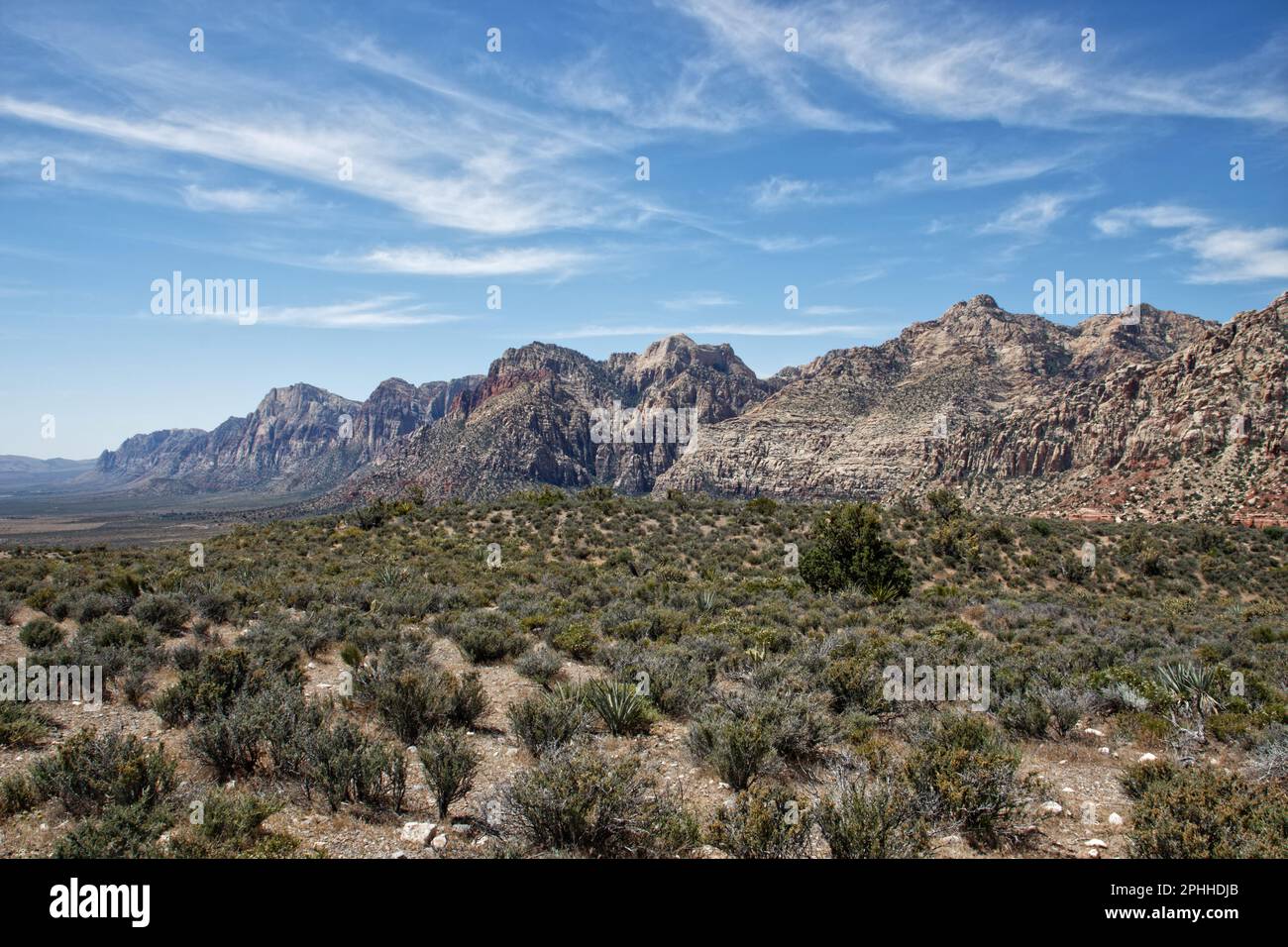 Paysage de Red Rock Canyon, Nevada, États-Unis Banque D'Images