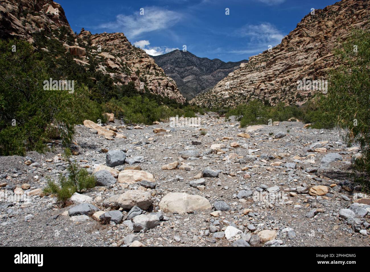 Lost Creek dans la zone de conservation nationale de Red Rock Canyon, Nevada, États-Unis Banque D'Images