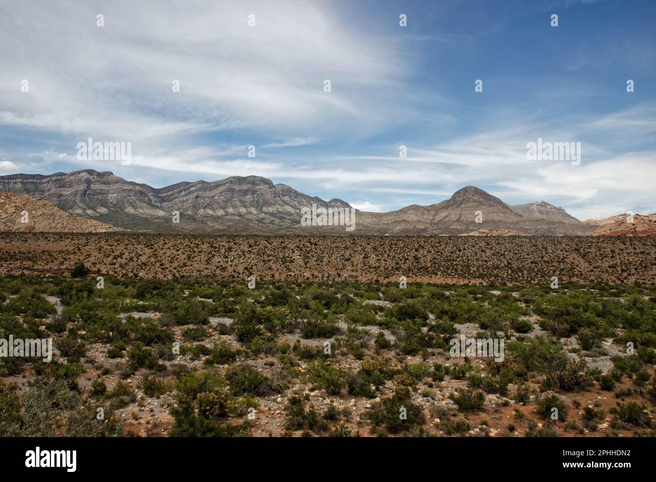 Paysage de Red Rock Canyon, Nevada, États-Unis Banque D'Images