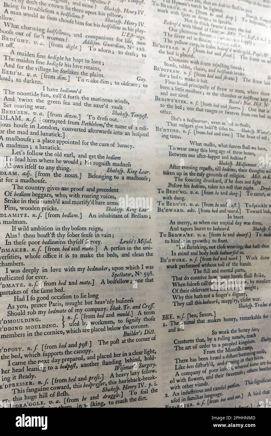 Une page du dictionnaire anglais du Dr Samuel Johnson Banque D'Images