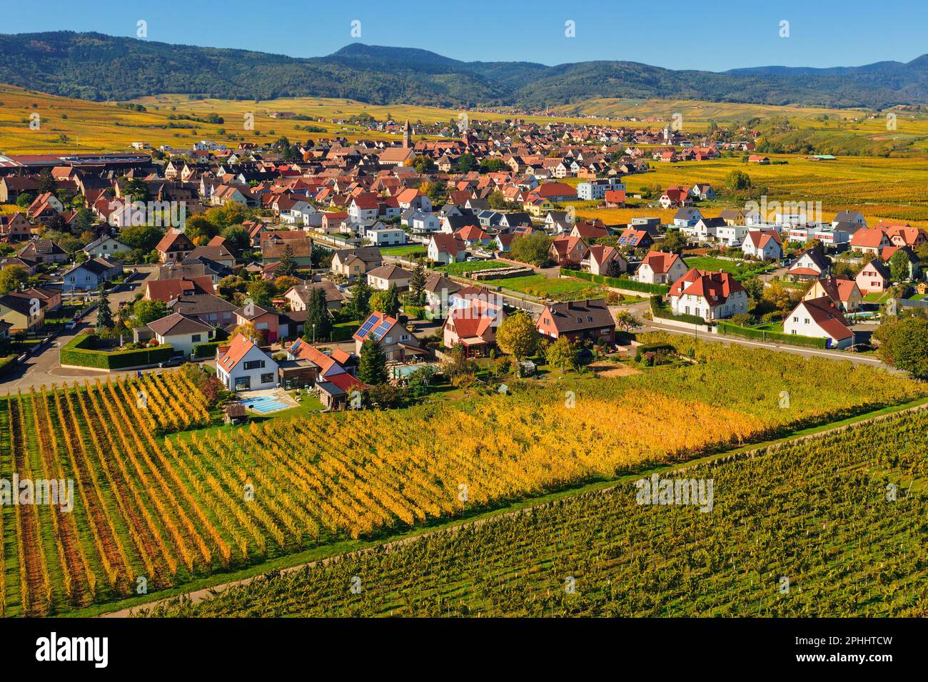 Vue aérienne de la campagne d'automne paysage d'Alsace avec les villages pittoresques de Bennwihr et Riquewihr au milieu des terrasses et des collines des vignobles, Alsac Banque D'Images