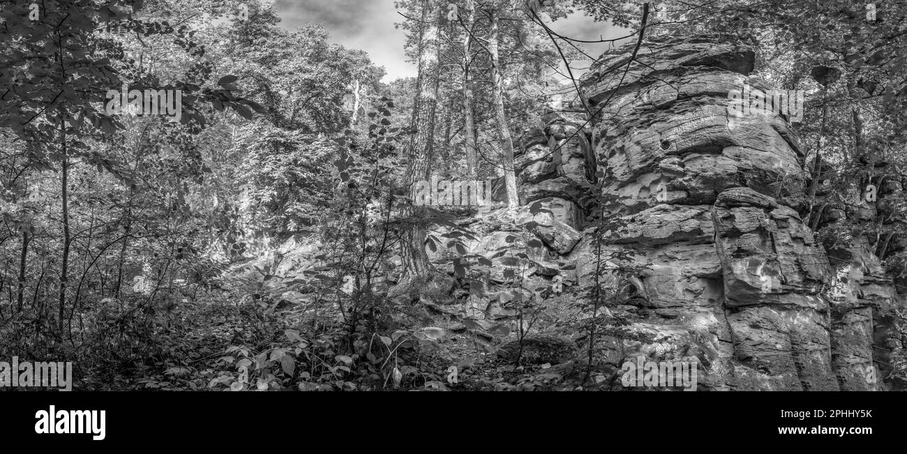 Paysage pittoresque dans les Vosges en Alsace avec rochers et forêt sauvage, France Banque D'Images