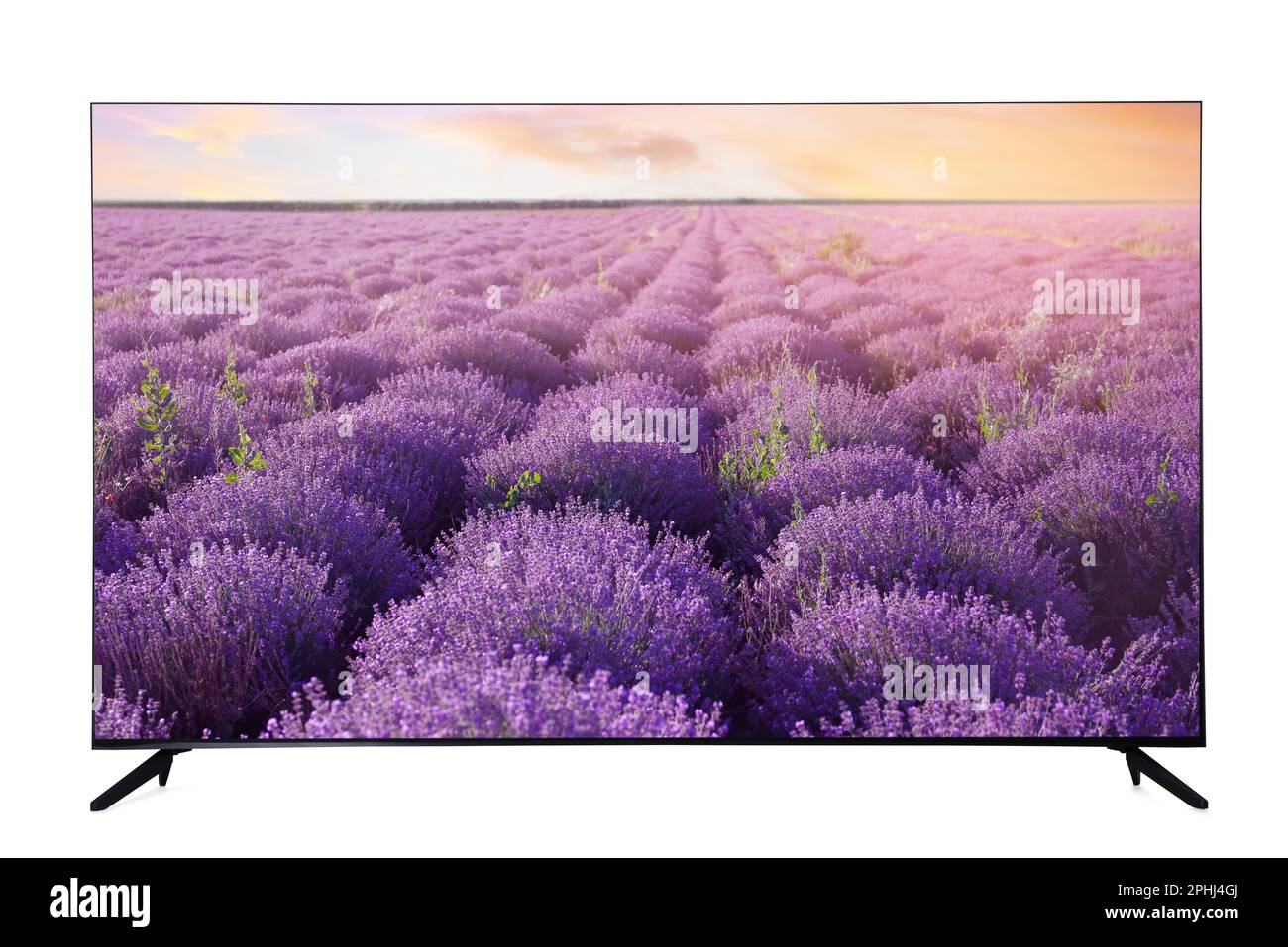 Moniteur TV grand écran moderne affichant un magnifique champ de lavande isolé sur blanc Banque D'Images