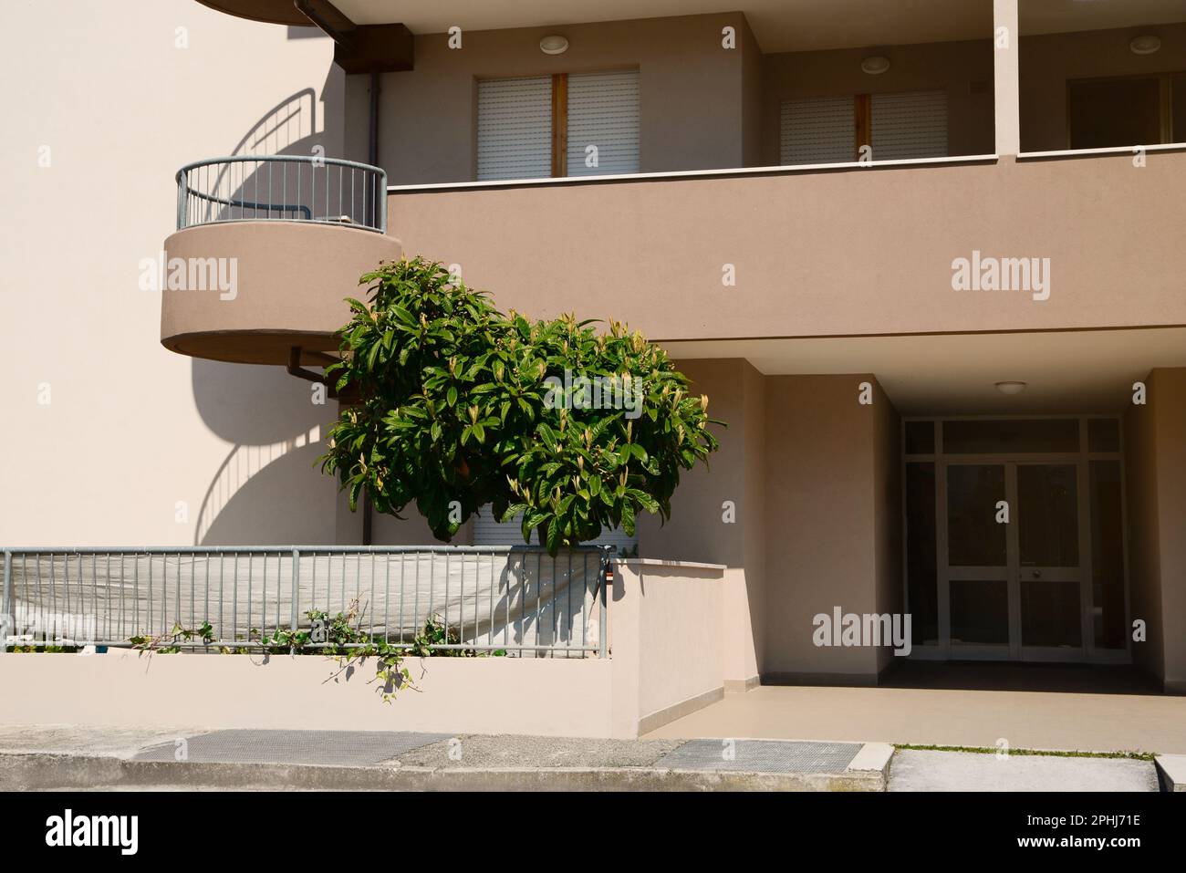 Magnifique arbre en fleurs près de l'entrée de la maison avec grand balcon Banque D'Images