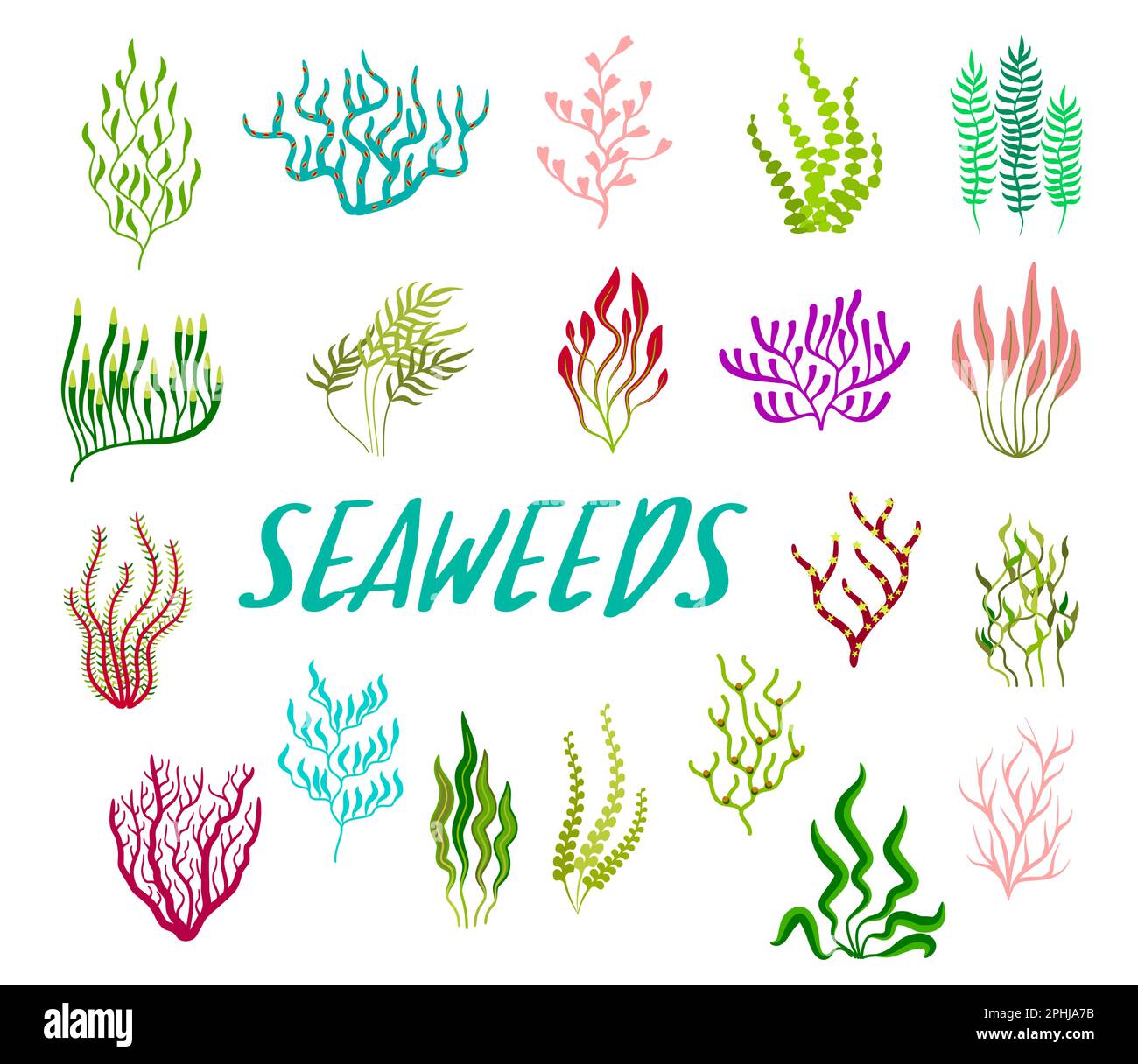 Plantes sous-marines, aquarium et algues marines. Ensemble de vecteur de bande dessinée coloré corail récif tropical faune biodiversité. La vie sous-marine de l'océan Illustration de Vecteur