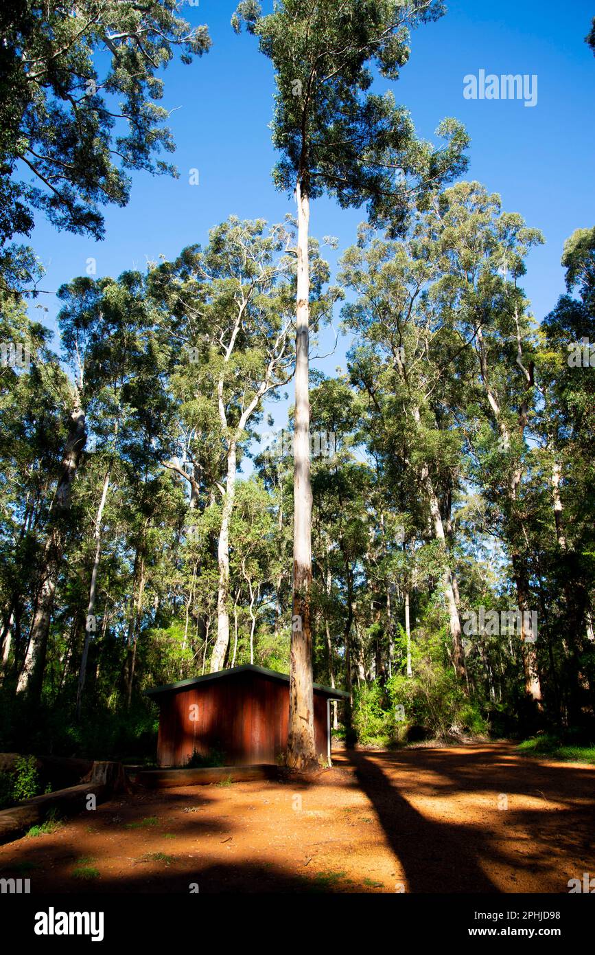 Parc national de Warren - Australie occidentale Banque D'Images