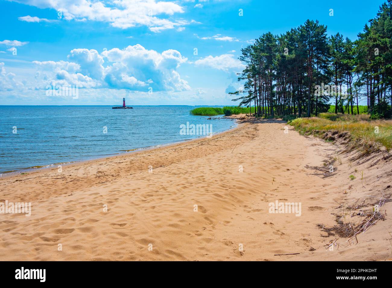 Côte de la merde de Curonie en Lituanie. Banque D'Images