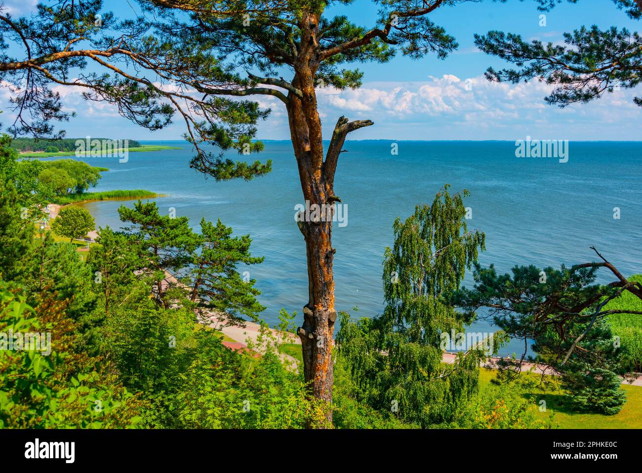 Côte de la merde de Curonie en Lituanie. Banque D'Images