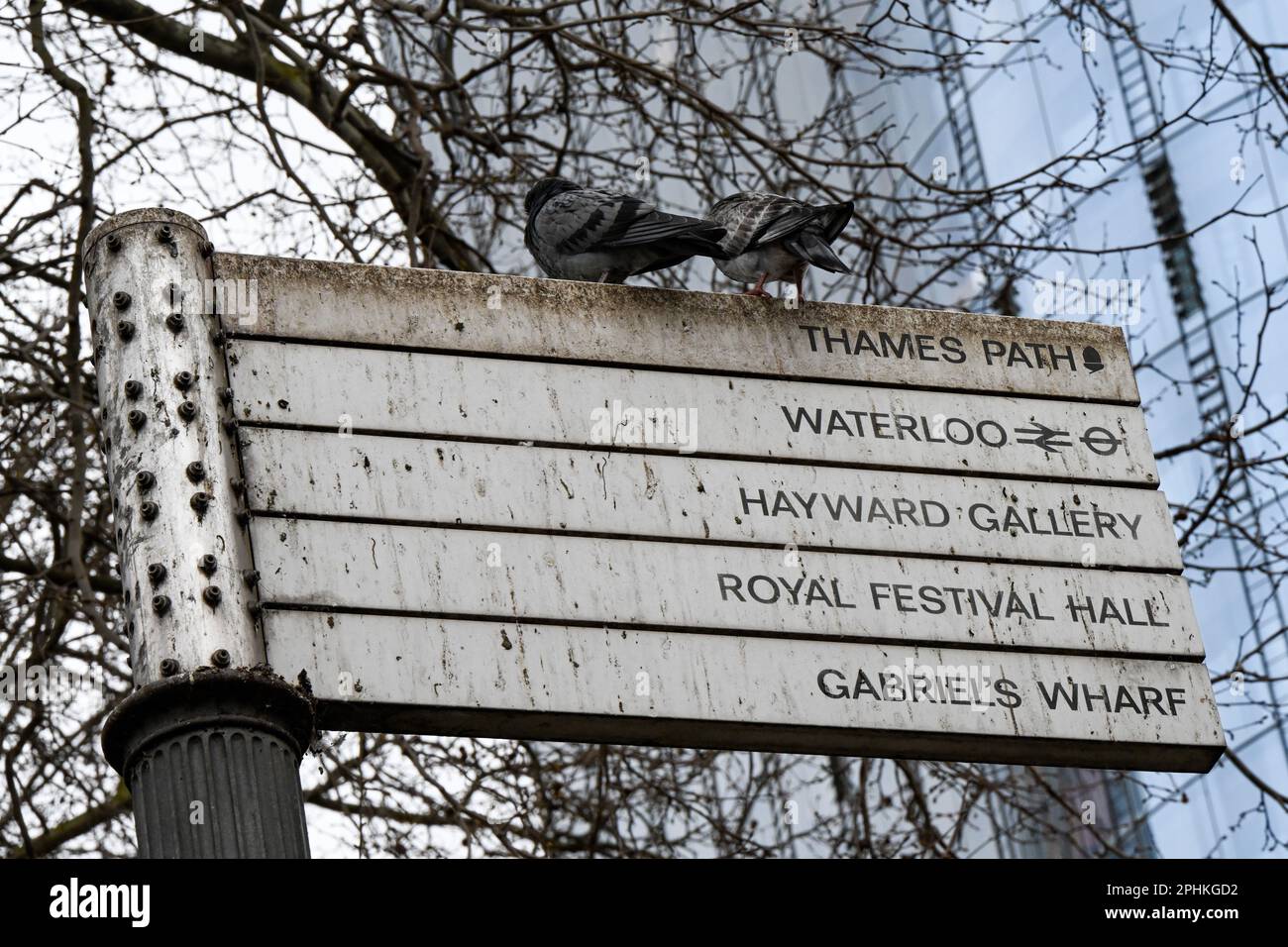 Un panneau de rue avec quelques pigeons assis au sommet, Londres, Thames, Waterloo, Hayward Gallery, Royal Festival Hall et Gabriel's Wharf Banque D'Images