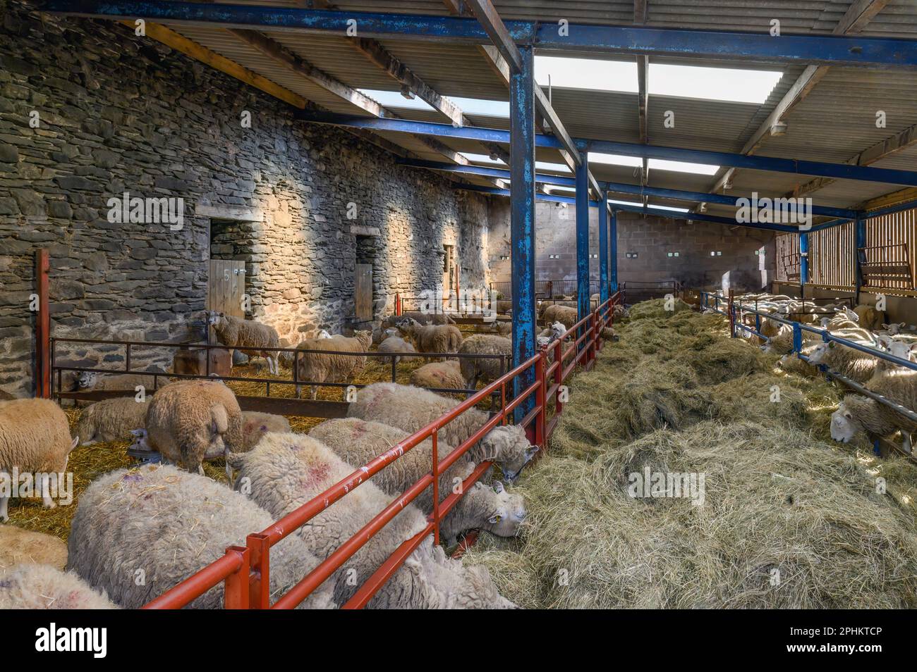 Le lambing Shed à Kentmere Hall à Cumbria Banque D'Images