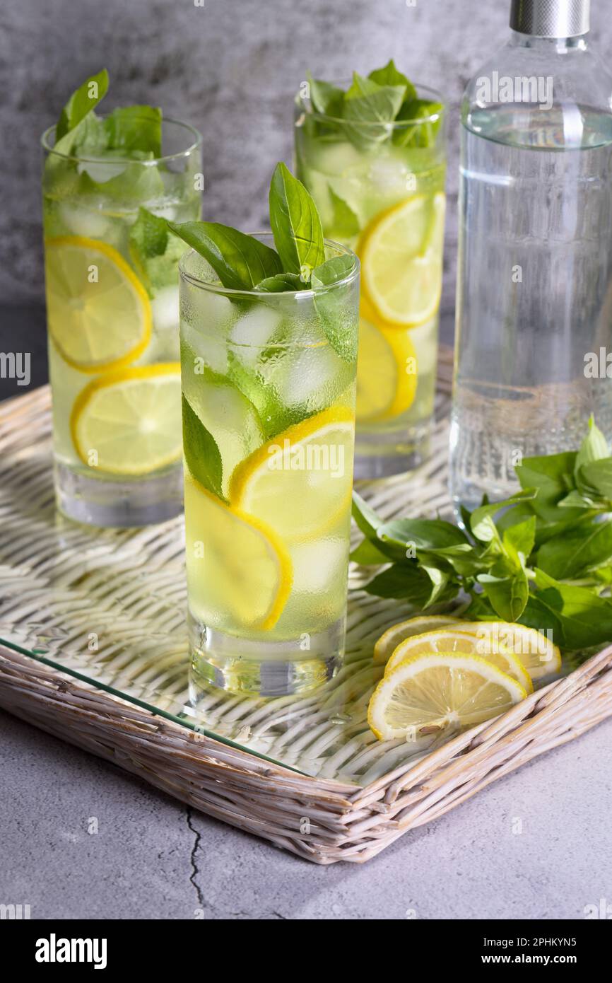 Basilic citron Gin et tonique, cocktail très léger et incroyablement rafraîchissant. Banque D'Images
