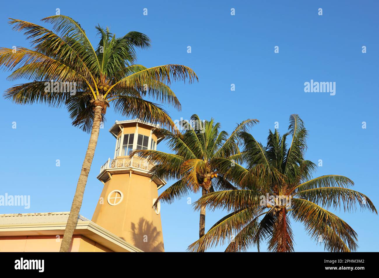 Vue sur le phare et les palmiers à noix de coco sur fond bleu ciel Banque D'Images