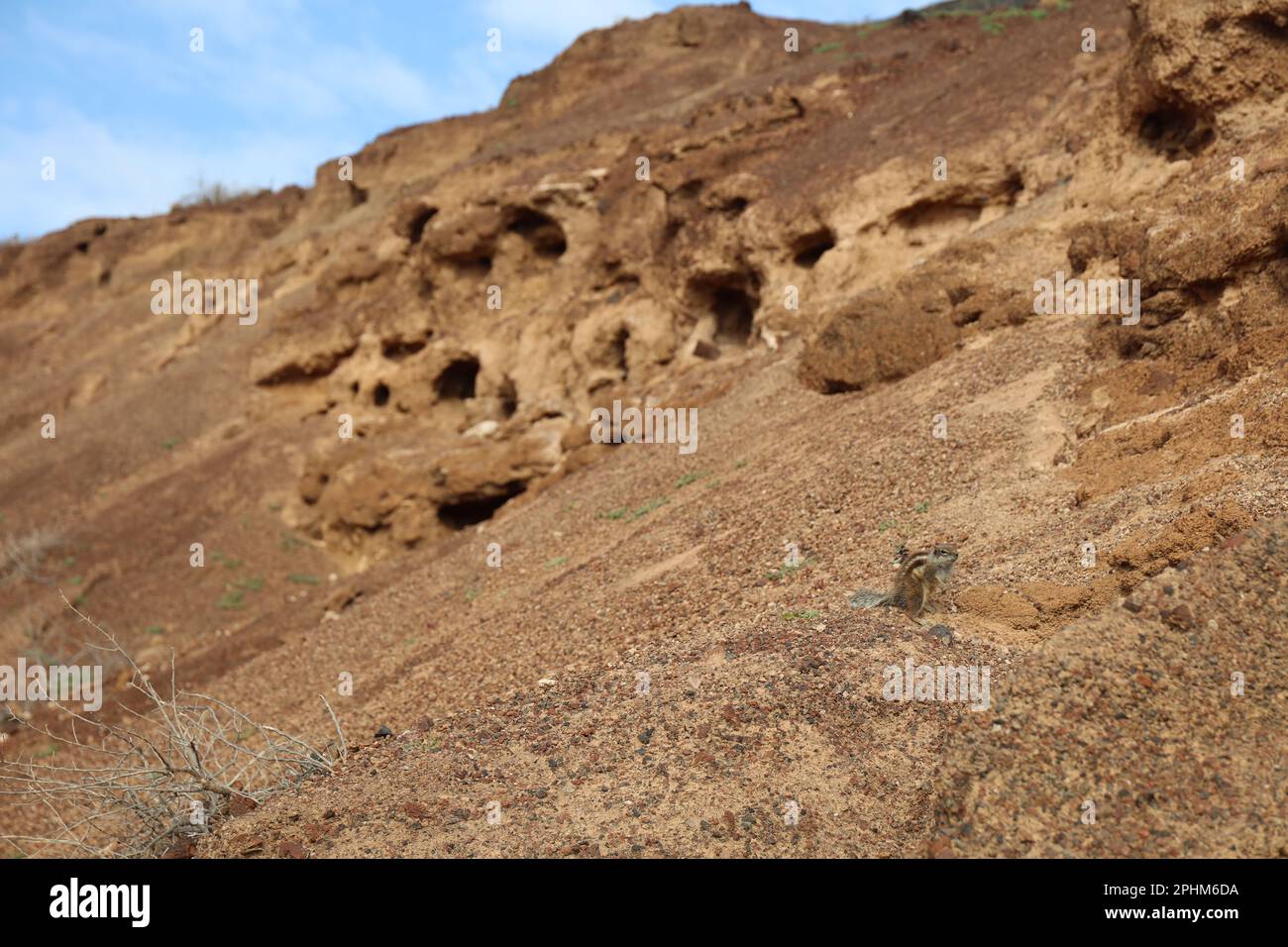 Vue sur le paysage du nid de trous du Chipmunk dans le Vulcan 'Calderón Hondo' à Fuerteventura. Banque D'Images