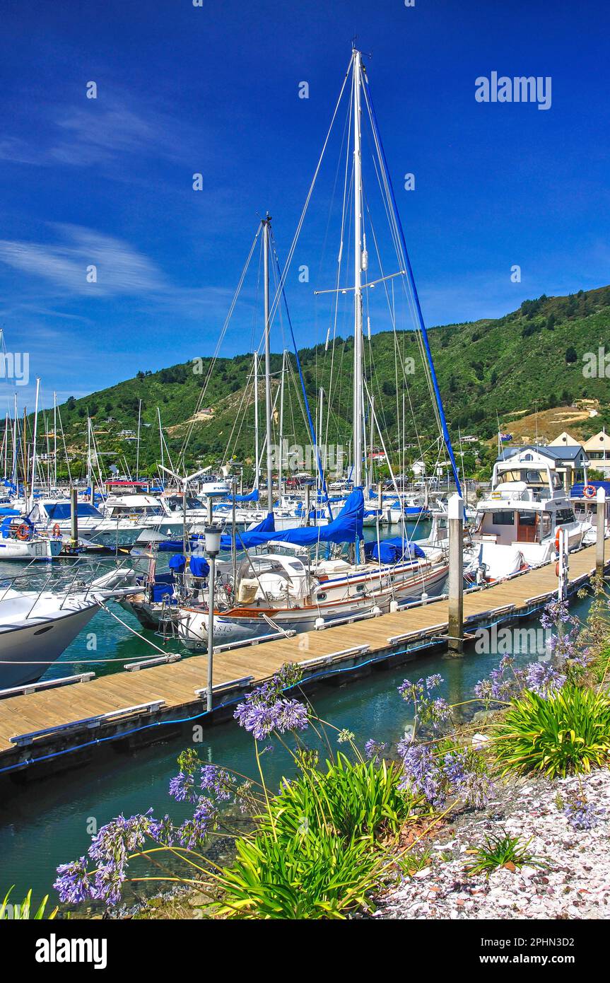 Waikawa Marina, Baie Waikawa, Waikawa, Queen Charlotte Sound, Marlborough Sounds, région de Marlborough, île du Sud, Nouvelle-Zélande Banque D'Images