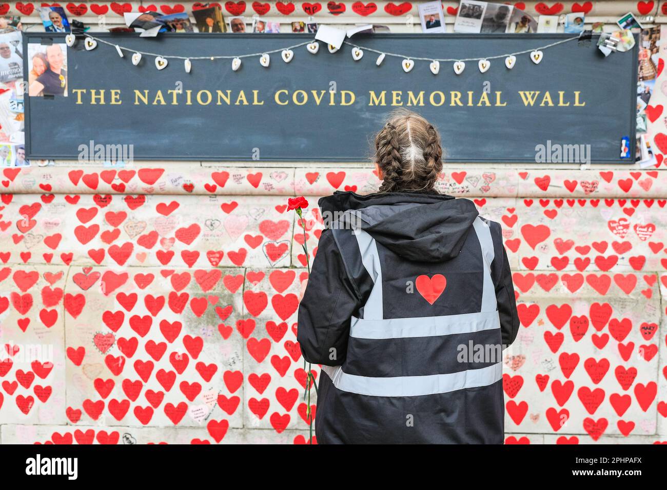 Londres, Royaume-Uni. 29th mars 2023. Un volontaire tient une carnation rouge tout en regardant le mur. Des familles, des amis, des collègues et d'autres personnes endeuillées se souvenant des victimes du coronavirus sont venus célébrer aujourd'hui l'anniversaire du mur national du Covid, organisé par les amis du mur, le long de la Tamise. Des photos de centaines de victimes sont affichées sur une longue ligne le long du mur.le mur a été créé pour la première fois en 2021 et son anniversaire est le mercredi 29th mars. Credit: Imagetraceur/Alamy Live News Banque D'Images