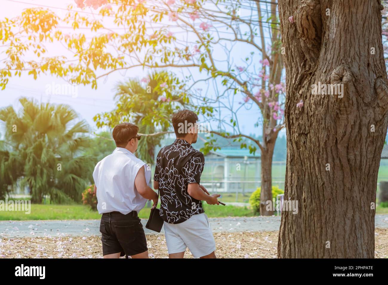 Vue arrière de Happiness gay couple marchez ensemble et prenez des photos avec la belle trompette rose floraison et tombant sur le sol comme la route rose. LGB Banque D'Images