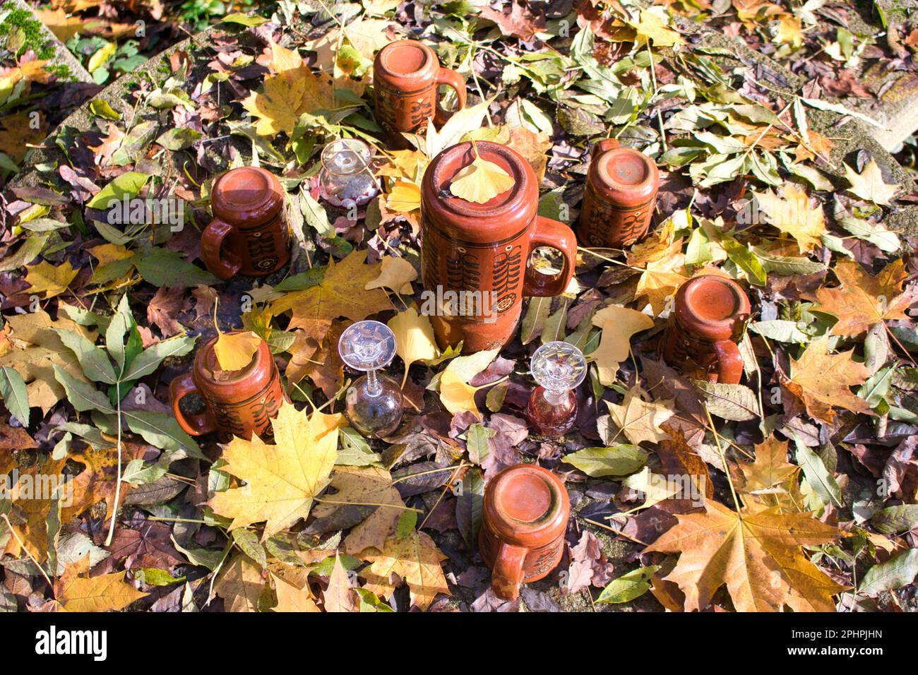 Feuilles d'automne sur une table avec des plats. Parc Veltrusy. République tchèque. Banque D'Images Feuilles d'automne sur une table avec des plats. Parc Veltrusy. République tchèque. Banque D'Images