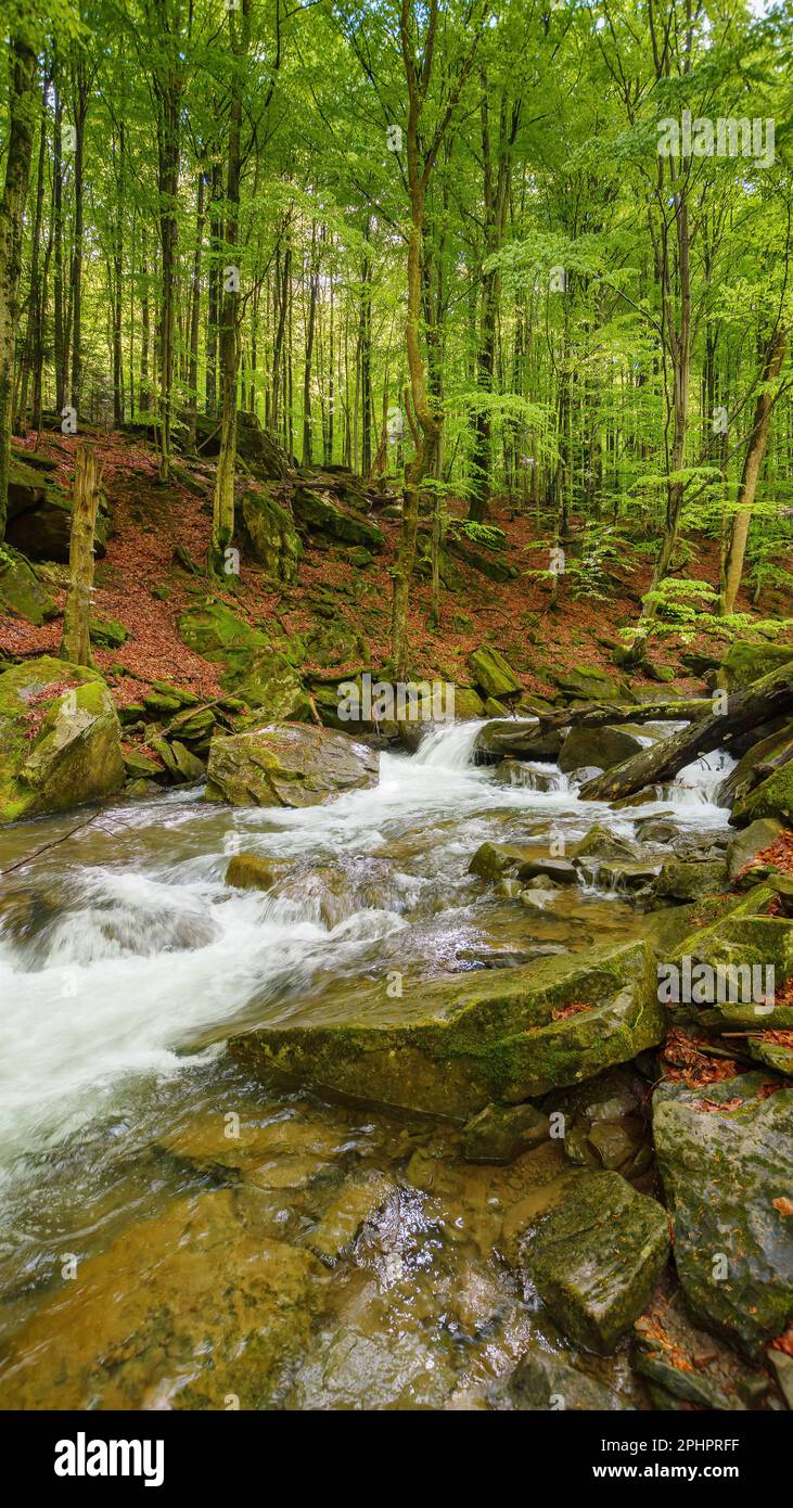 rivière dans le parc parmi les rochers. paysage de campagne au printemps. la beauté dans la nature Banque D'Images