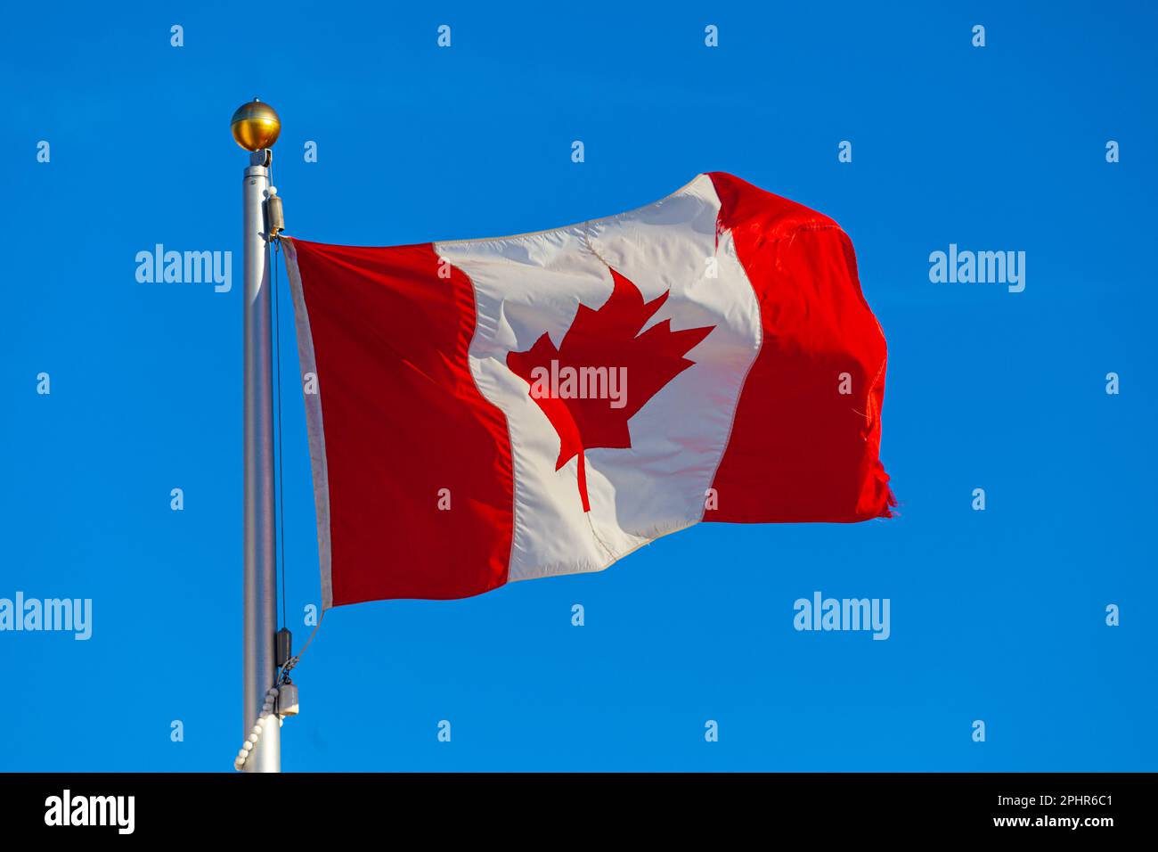 Drapeau canadien sur une journée venteuse contre un ciel bleu à Steveston Canada Banque D'Images