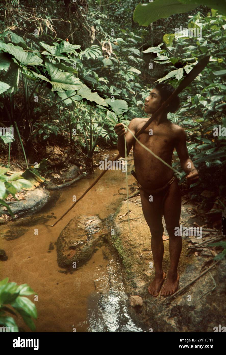 Venezuela.Jeune chasseur du groupe ethnique Hoti avec lance dans la forêt tropicale. Les Hoti vivent dans les forêts tropicales au pied de la Sierra de Maigualida. Ce sont des chasseurs-cueilleurs semi-nomades et des horticulteurs sur brûlis. Banque D'Images