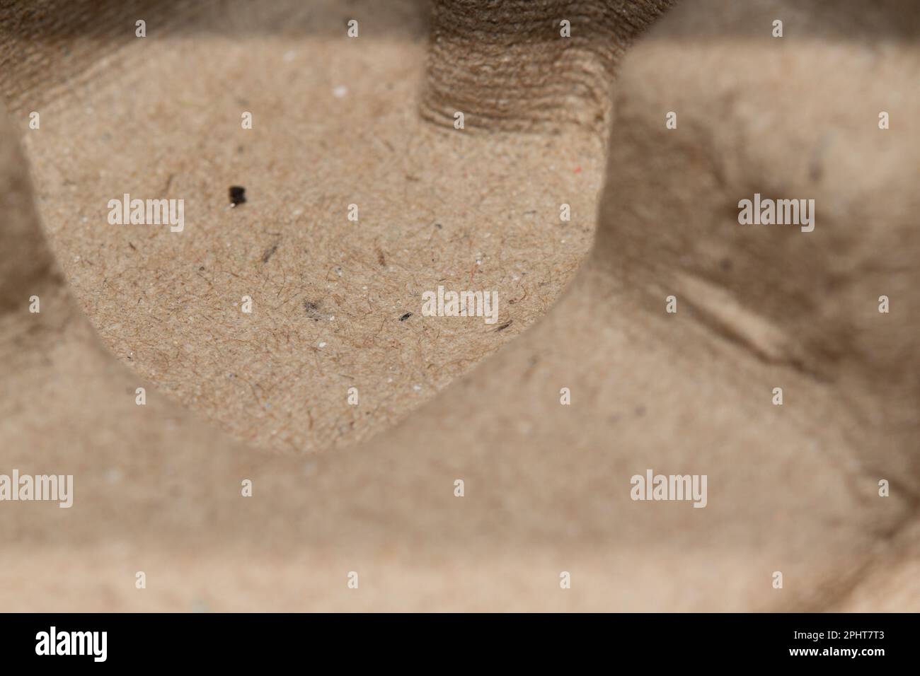 Emballage en carton moulé sur mesure ! Banque D'Images