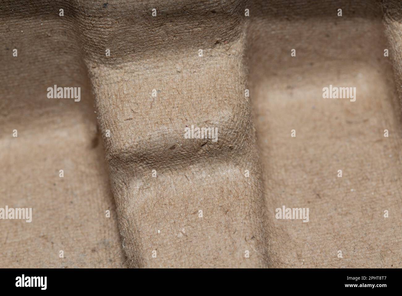 Emballage en carton moulé sur mesure ! Banque D'Images