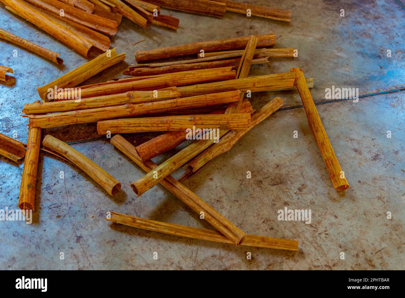 La cannelle étant séchée pendant la production, Sri Lanka. Banque D'Images