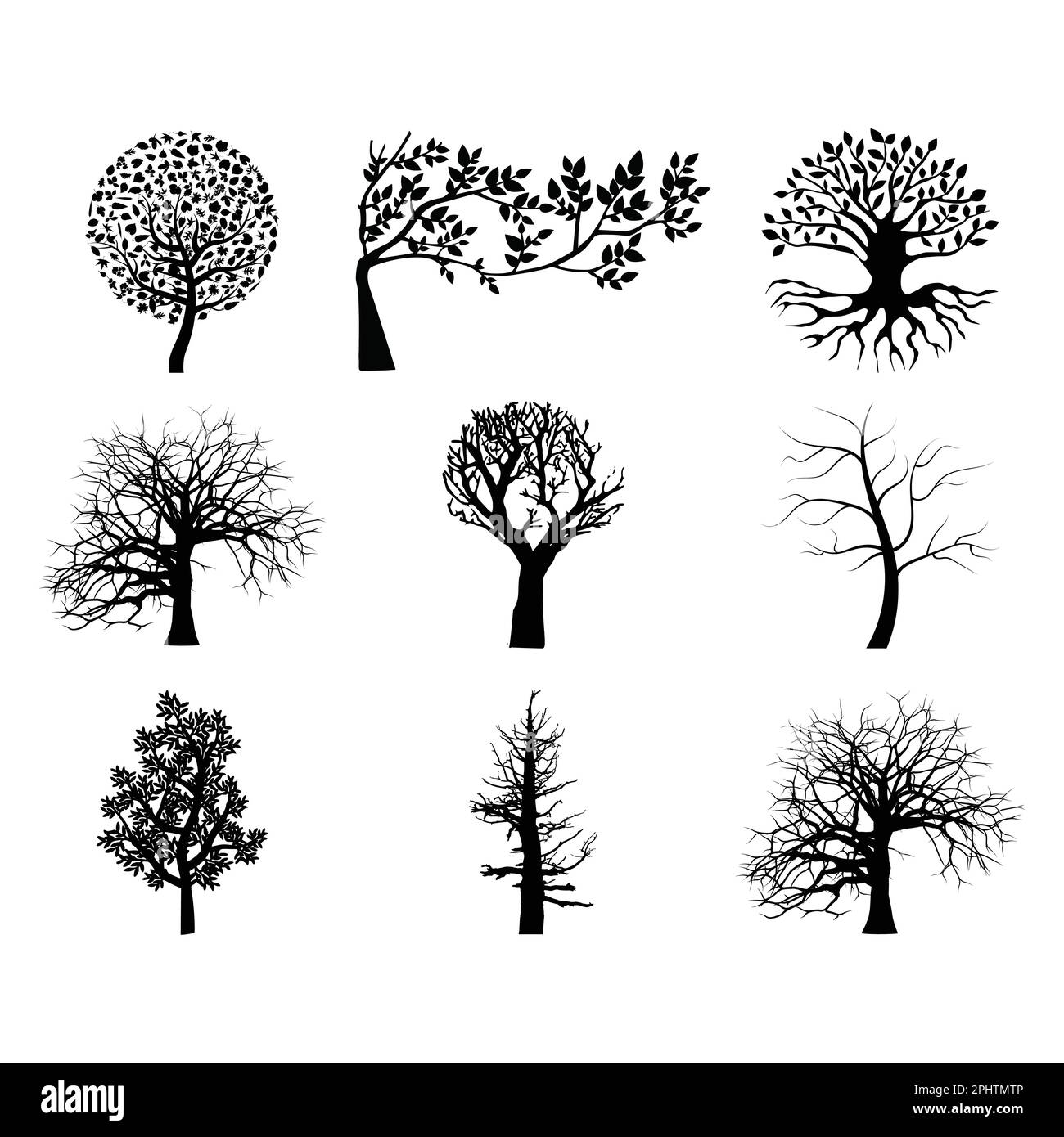 Ensemble de silhouettes d'arbre isolées sur fond blanc. Illustration vectorielle. Illustration de Vecteur