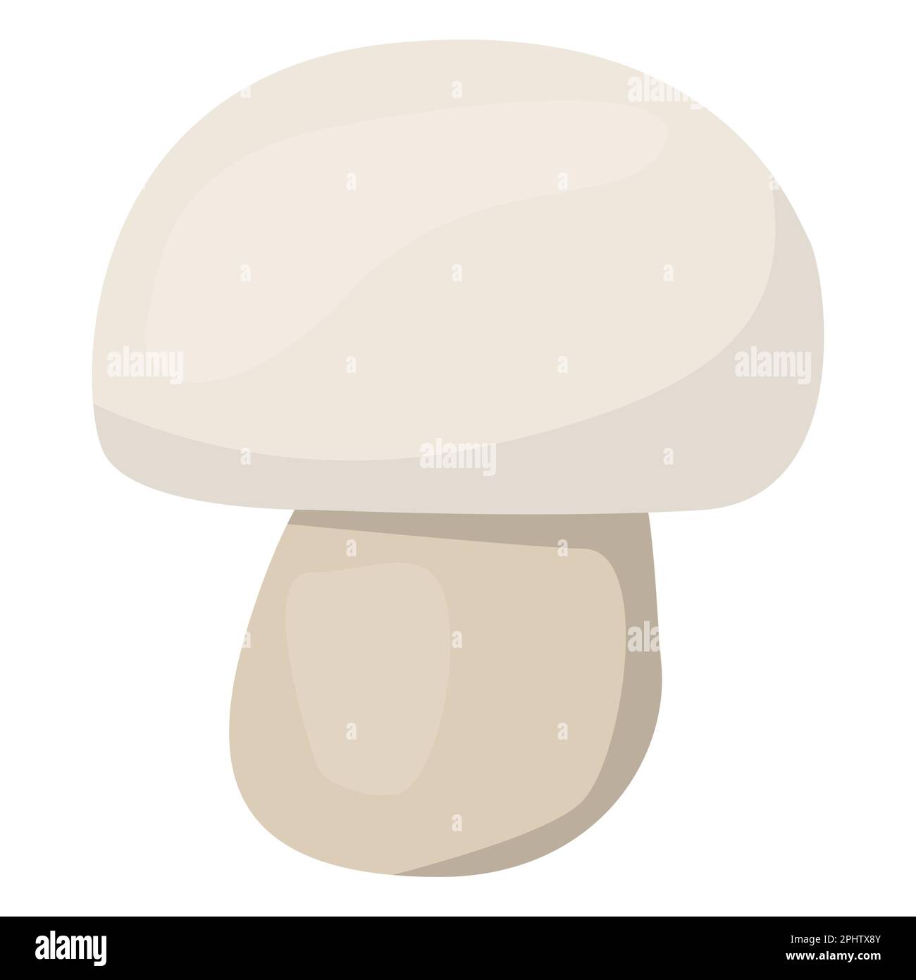 Champignons organiques comestibles. Capuchon brun aux truffes. Types de champignons sauvages de la forêt. Illustration vectorielle colorée isolée sur fond blanc. Illustration de Vecteur