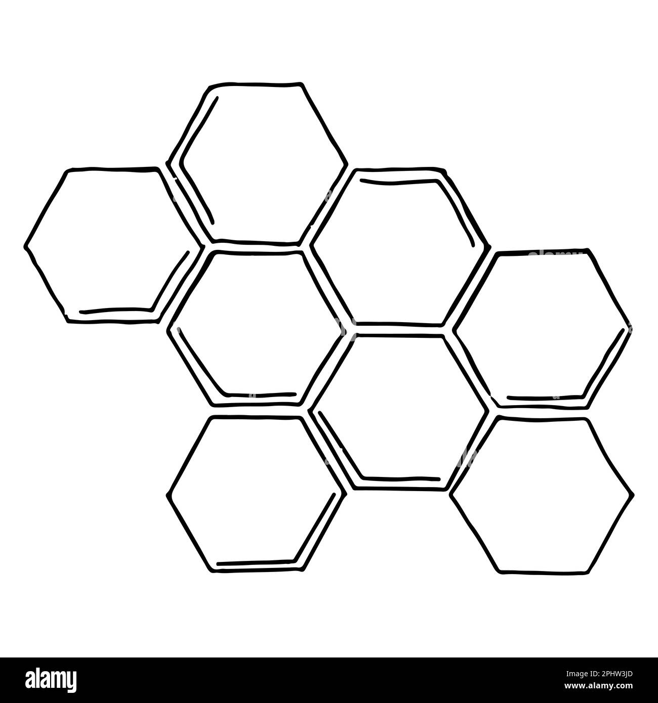 Motif nid d'abeille en forme de caniche dessinée à la main. Illustration vectorielle isolée sur fond blanc Illustration de Vecteur