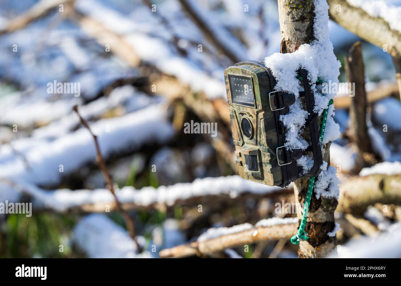 Une caméra de jeu en hiver avec de la neige Banque D'Images