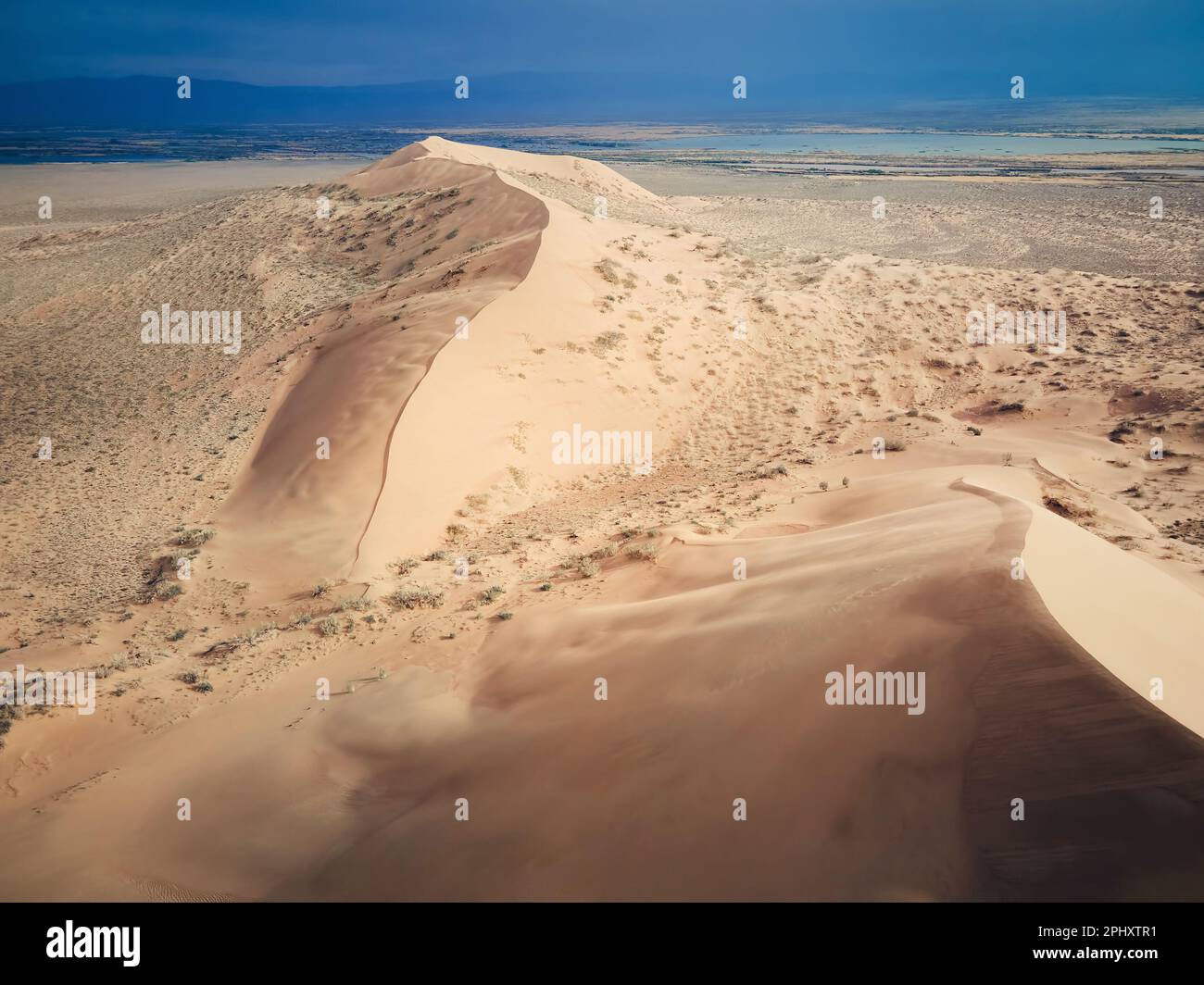 Vue aérienne de drone photo de chant dunes du désert de sable paysage de barkhan et de l'Ili rivière dans la célèbre place Altyn Emel parc national près d'Almaty, Kazakhstan Banque D'Images