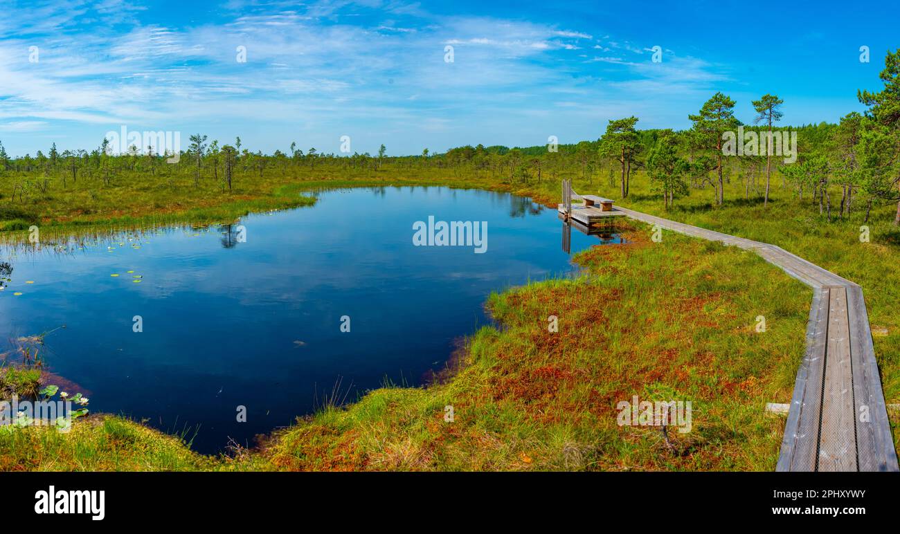 Paysage du parc national de Soomaa en Estonie. Banque D'Images