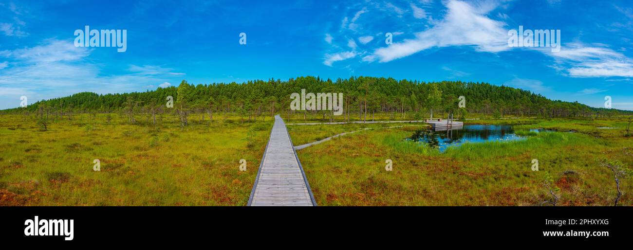 Paysage du parc national de Soomaa en Estonie. Banque D'Images