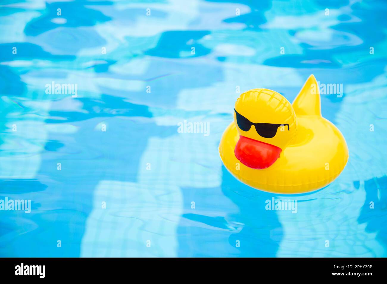 Anneau gonflable de canard flottant dans la piscine. Canard en plastique jaune avec lunettes de soleil Banque D'Images