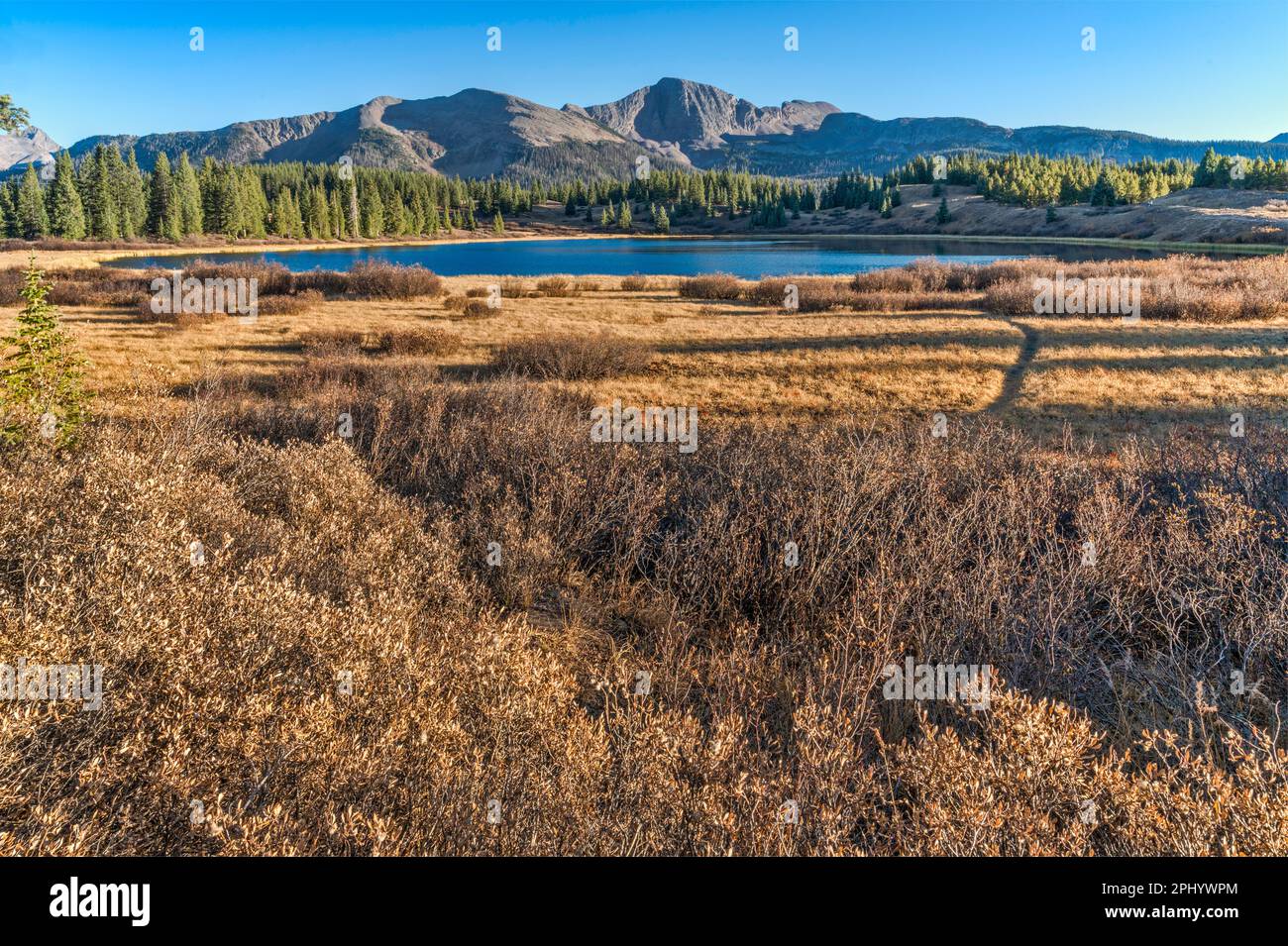 Little Molas Lake, Snowdon Peak in distance, Needle Mountains, San Juan Mountains, San Juan National Forest, Colorado, États-Unis Banque D'Images