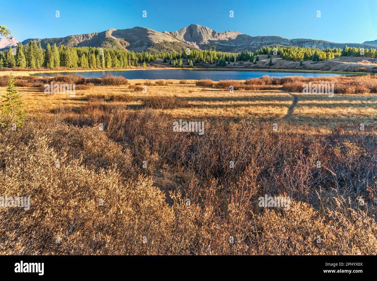 Little Molas Lake, Snowdon Peak in distance, Needle Mountains, San Juan Mountains, San Juan National Forest, Colorado, États-Unis Banque D'Images