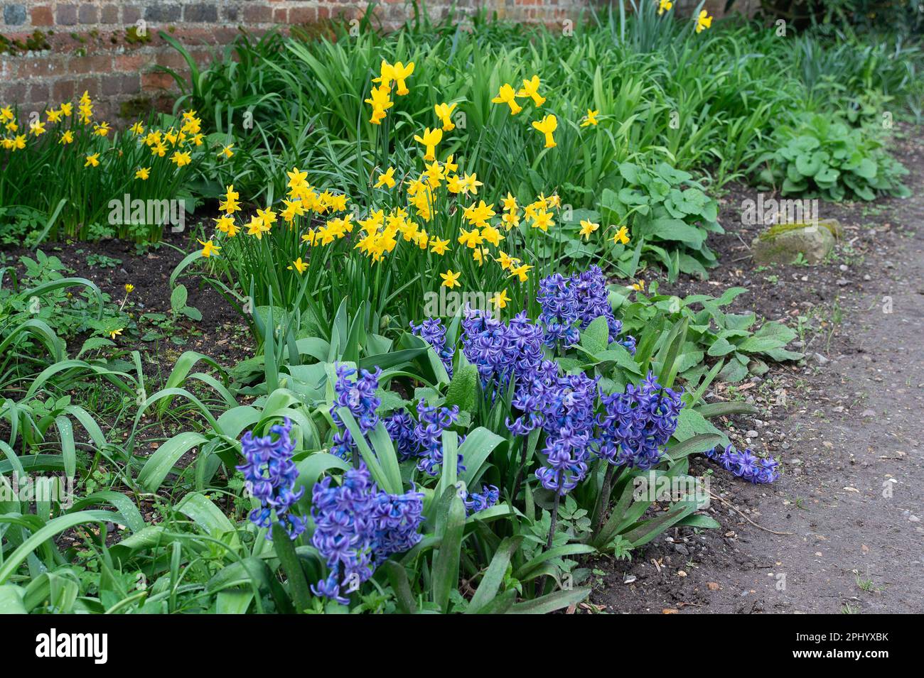 Eton, Windsor, Berkshire, Royaume-Uni. 30th mars 2023. Bien que le temps ait été un sac mixte de douches et de soleil aujourd'hui, les terrains de l'Eton College ont l'air joli comme beaucoup de fleurs de printemps sont en fleur. Crédit : Maureen McLean/Alay Live News Banque D'Images