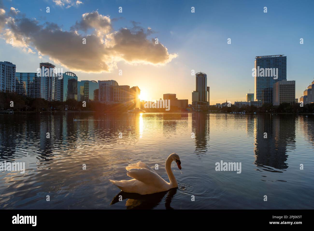 Horizon de la ville d'Orlando au coucher du soleil à Lake Eola, Floride, États-Unis Banque D'Images